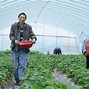 草莓苹果版免费观看视频爱情无线牵在线观看完整版-第2张图片-太平洋在线下载