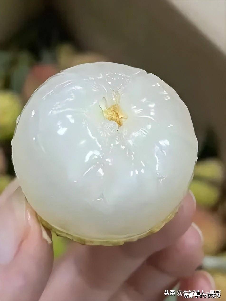 荔枝litchi安卓版mac923水蜜桃923色号