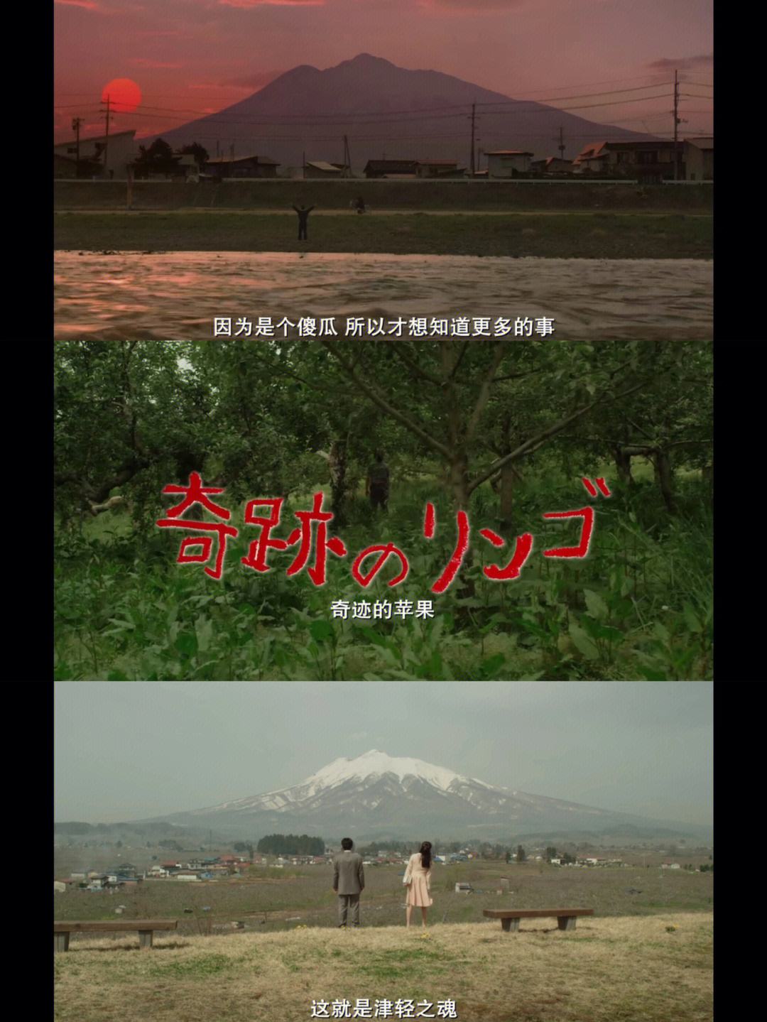 苹果电影无修版苹果未删除版本在线观看