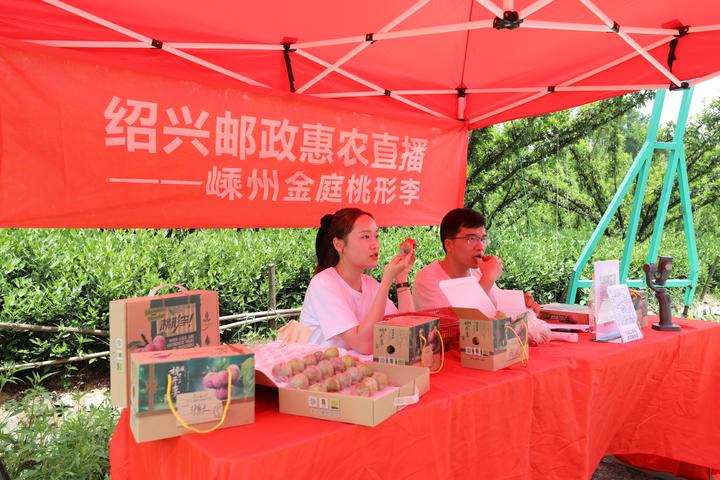 嵊州新闻客户端嵊州电视台新闻综合频道-第1张图片-太平洋在线下载